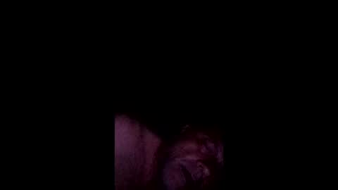 anthony9168 online show from May 16, 8:55 am