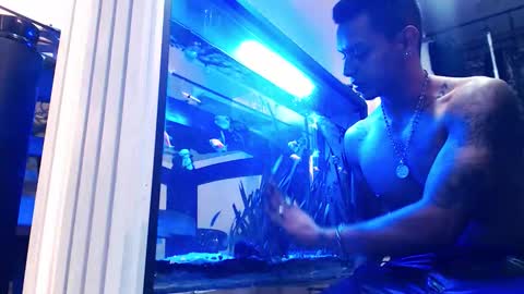 anubis_inpu online show from October 12, 1:53 am