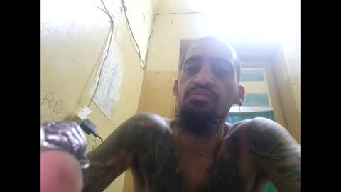 apapal12 online show from March 12, 4:49 am