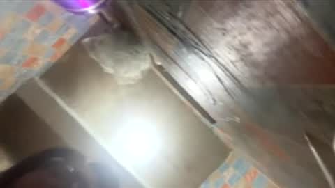 arianabear online show from March 15, 2:16 am
