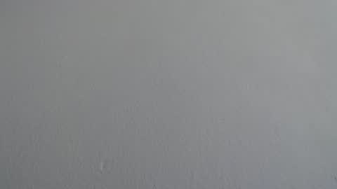 ariannaloovel online show from February 21, 6:11 pm