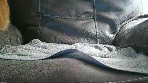 armalite16 online show from September 11, 4:19 pm