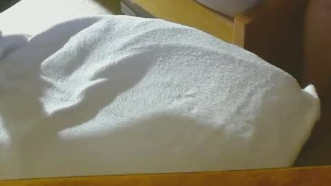 Arnie  online show from December 22, 8:47 pm