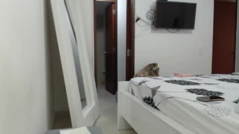 Snapshot of ashlymoon chatting on February 15, 9:37 pm AshlyMoon online show from February 15, 9:37 pm