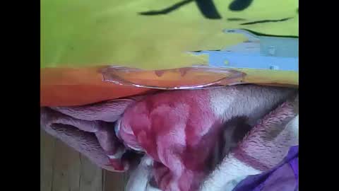 audrey468570 online show from March 8, 8:51 am