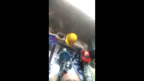 Pluke online show from January 26, 1:47 pm