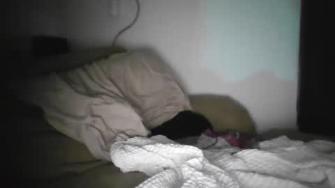 Snapshot of ayr129 chatting on October 8, 5:02 am ayr129 online show from October 8, 5:02 am