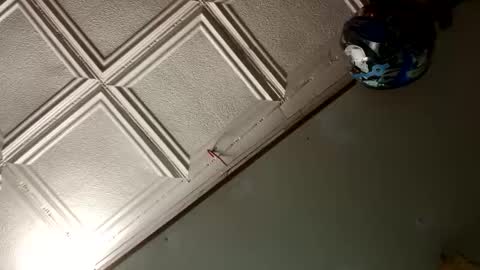 StillPoPimpin online show from January 18, 10:06 am