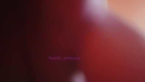bambi_princess_ online show from November 20, 6:56 am