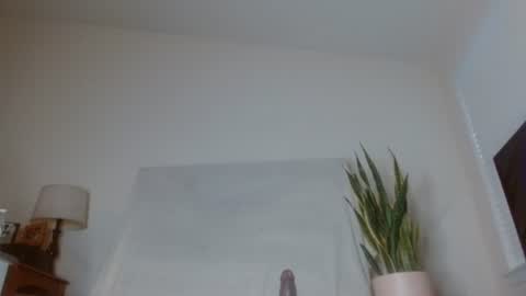 bambirachel1 online show from July 3, 12:15 am