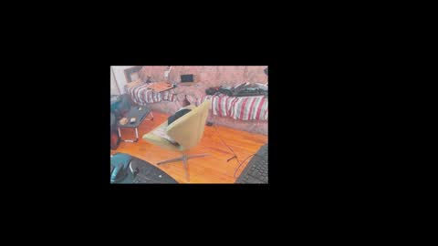 Masked BBC XXL online show from December 19, 2:29 am