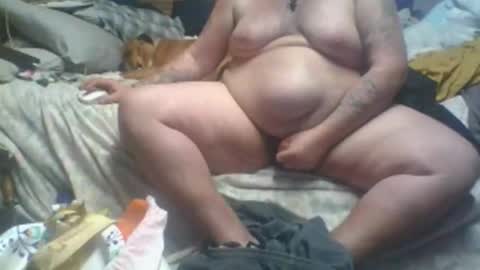 bdm198769 online show from March 5, 7:06 am