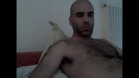 Snapshot of bear14250949 chatting on October 19, 9:14 am bear14250949 online show from October 19, 9:14 am