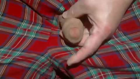  Reservoir Dogs online show from March 3, 1:34 am