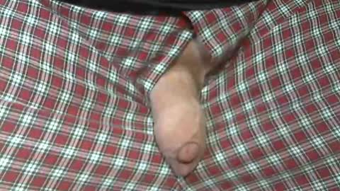  Reservoir Dogs online show from October 31, 5:46 pm