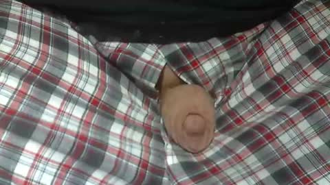  Reservoir Dogs online show from November 4, 3:19 am