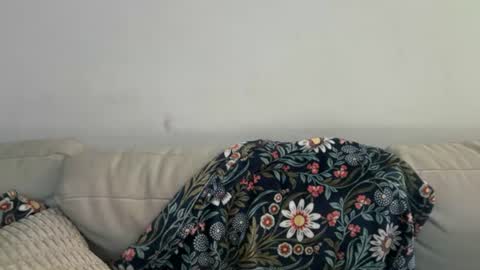 beijadense online show from July 4, 4:43 pm