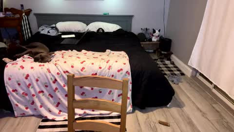 Roxy Rain online show from March 1, 4:00 pm