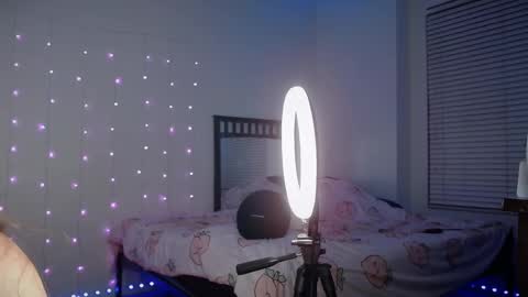 Bella Monroe online show from February 19, 8:22 am