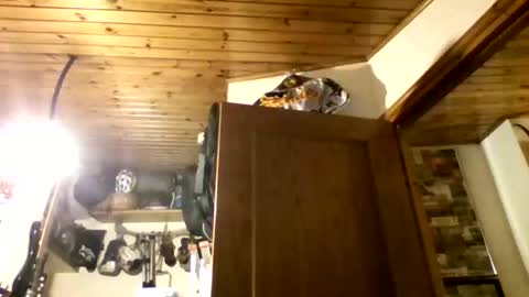 bernichaos77 online show from February 21, 2:36 am