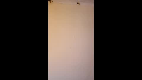 bgiamba21 online show from April 10, 7:13 am