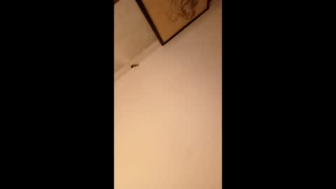 bgiamba21 online show from January 18, 10:24 am