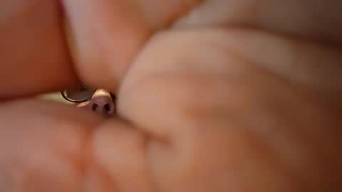 bigal9816192 online show from February 23, 2:25 am