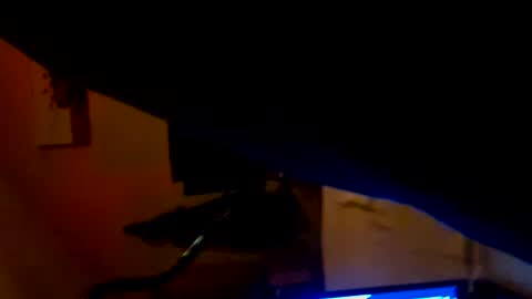 newSurprise online show from November 17, 10:45 pm