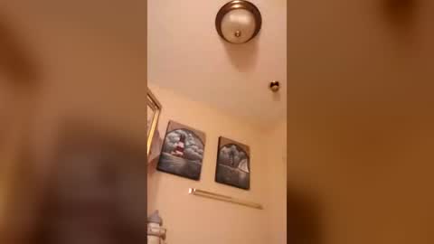 bigcockj808209 online show from July 19, 3:42 am