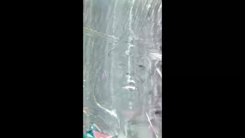 Daddchuko online show from April 26, 11:41 am