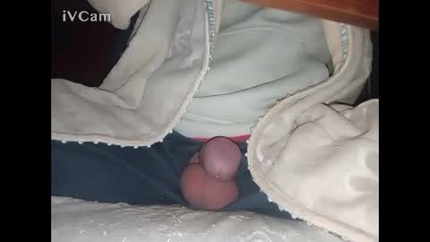 Big online show from February 12, 3:40 am