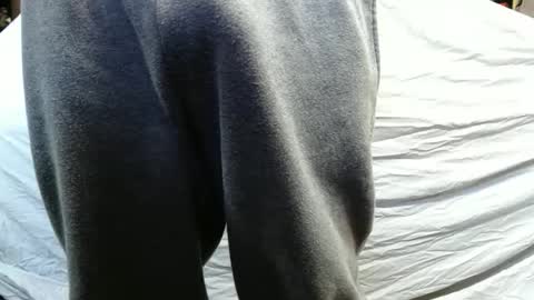 bigdickdaddy567130413 online show from January 15, 2:46 pm