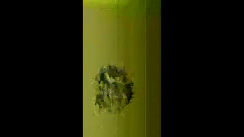 bigdog9thick online show from March 17, 6:40 am