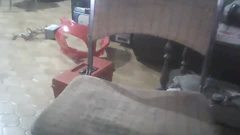 bigpenix online show from December 7, 2:14 am