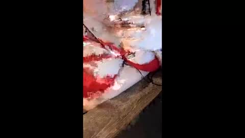 bigtitsrus99 online show from March 1, 6:56 pm