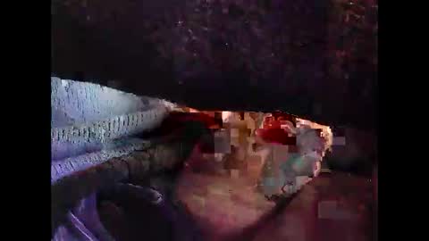 Snapshot of bilco03 chatting on October 29, 11:56 am bilco03 online show from October 29, 11:56 am