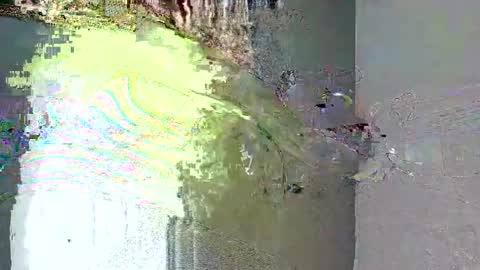 bimbogiga online show from September 12, 6:32 pm