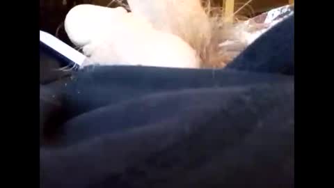 bjloversohard online show from January 4, 4:33 am