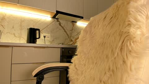 Snapshot of blackmilk_01 chatting on January 20, 7:36 am Karina online show from January 20, 7:36 am