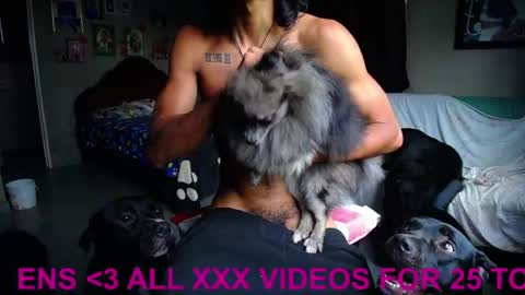 Black Panther online show from April 23, 12:29 pm