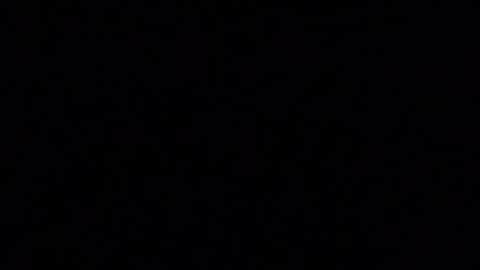 blueishgoldish online show from March 23, 12:15 am