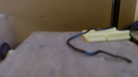 bobbby459 online show from October 9, 12:16 am