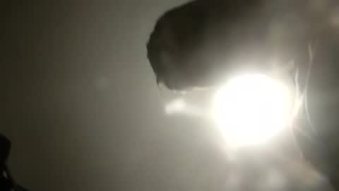 bobby160968 online show from February 24, 6:26 pm