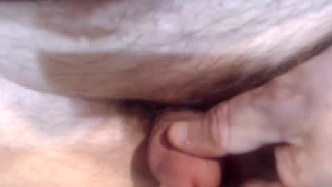 bobswan online show from December 26, 5:19 pm