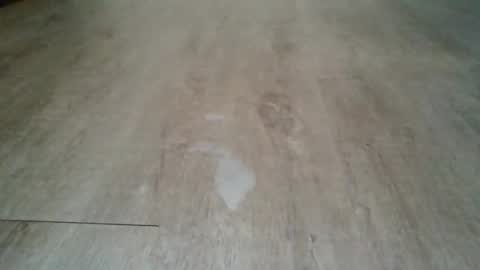 bocul1969 online show from April 14, 3:15 pm