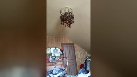 boisvert6969 online show from June 20, 7:31 pm