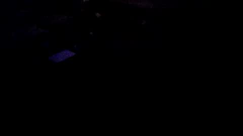 bondgally online show from November 1, 6:01 am