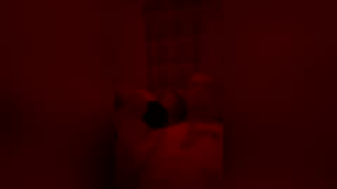 bonner85 online show from June 15, 7:44 am