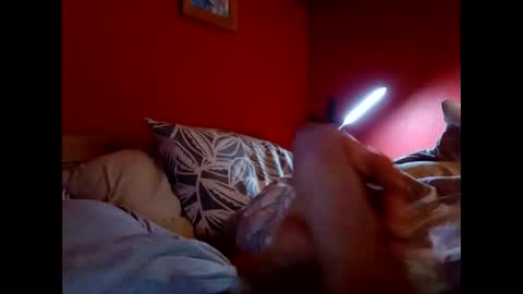 bonzoband online show from February 9, 11:25 am