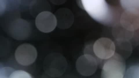 boogieflexxx online show from December 3, 2:12 am